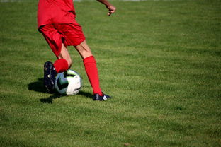 米兰体育网页版登陆-篮球专项技能训练标准体系建设，篮球专项训练方法和手段