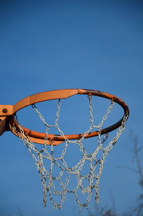 AC MILAN APP-篮球运动员专项体能训练计划智能化设计与实施，篮球运动员体能训练的内容有哪些